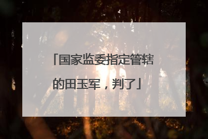 国家监委指定管辖的田玉军，判了